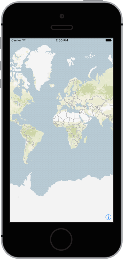 iPhone with Map
